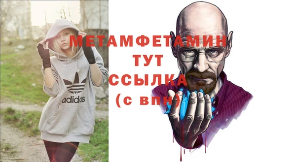 шишки Богородицк